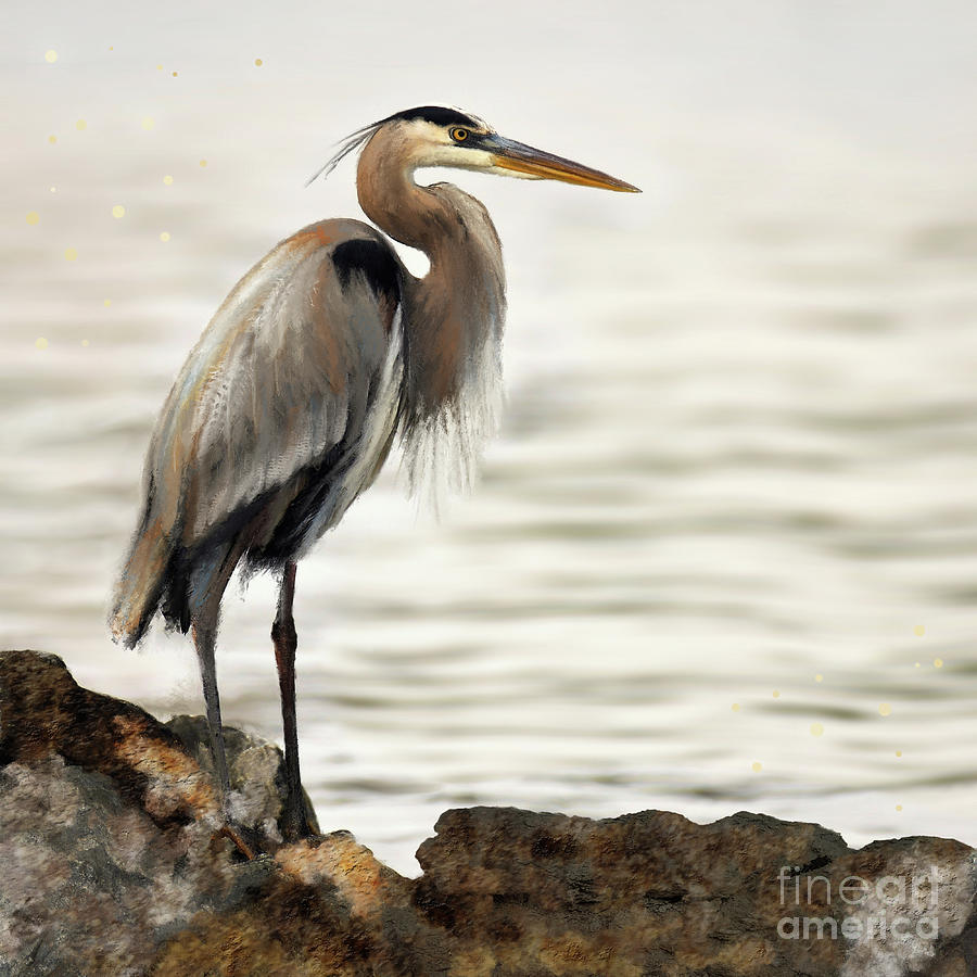 Egret by Anne Vis Egret by Anne Vis