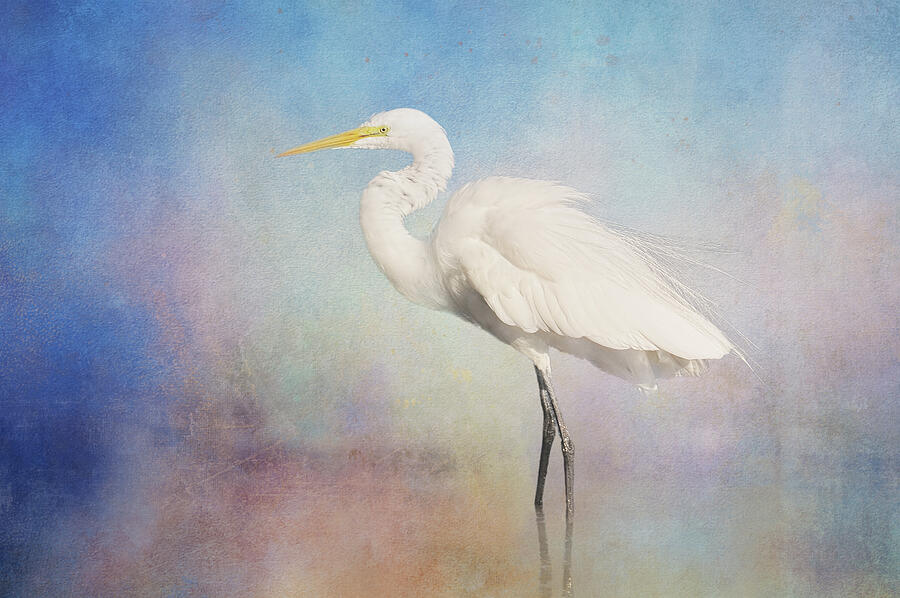 Egret in Beauty Digital Art by Terry Davis