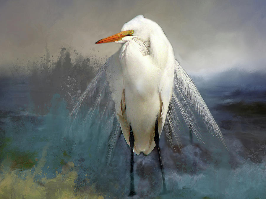 Egret In Blue Digital Art by Linda Cox