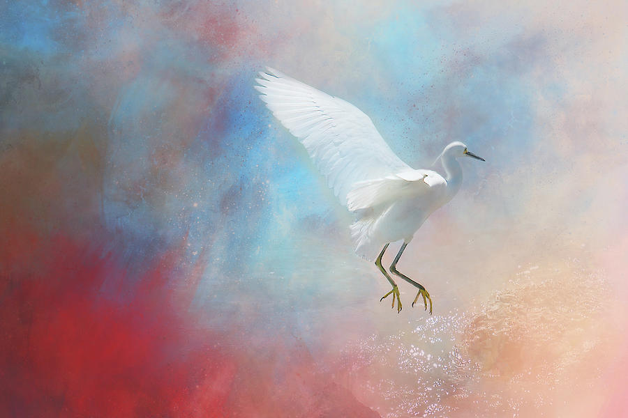 Egret Landing in Beauty Digital Art by Terry Davis