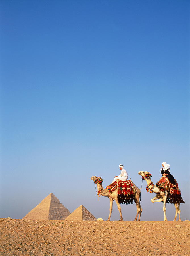 Egypt, Cairo, Giza, Tourists On Camels Photograph by Will & Deni Mcintyre