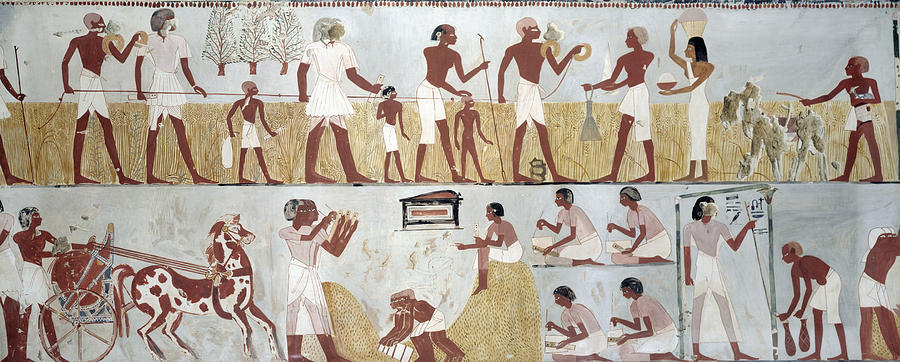 Egypt: Harvest Painting by Charles K. Wilkinson