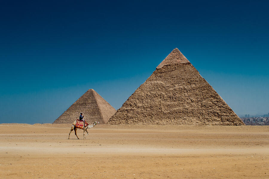 Camel Photograph - Egypt In A Picture! by Eman Abdelkader