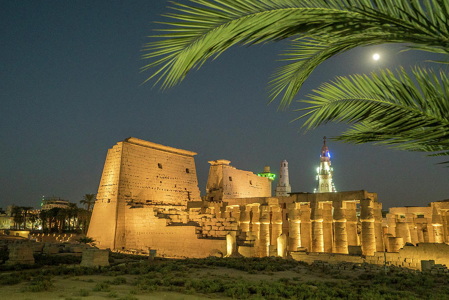 Egypt, Nile Valley, Luxor, Thebes, Temple Of Luxor, Palm Leaves With Moon At Luxor Temple Digital Art by Manfred Bortoli