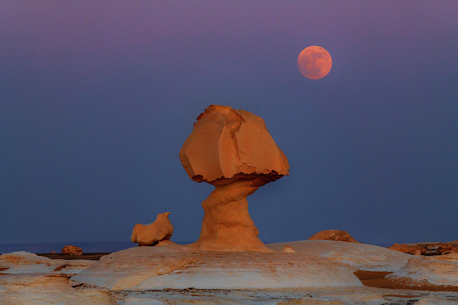 Egypt, Oasis, Farafra, Sahara Desert, White Desert National Park, Libyan Desert, Rock Figure Mushroom With A Rising Moon Digital Art by Bernd Grundmann