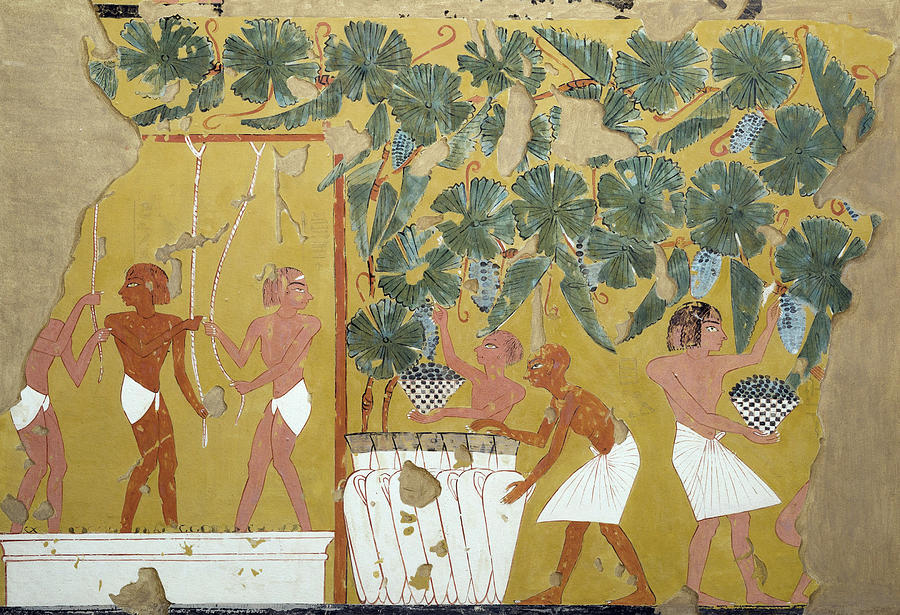 Egypt: Winemaking Painting by Charles K. Wilkinson