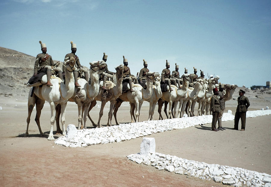 Egyptian Army Photograph by Michael Ochs Archives