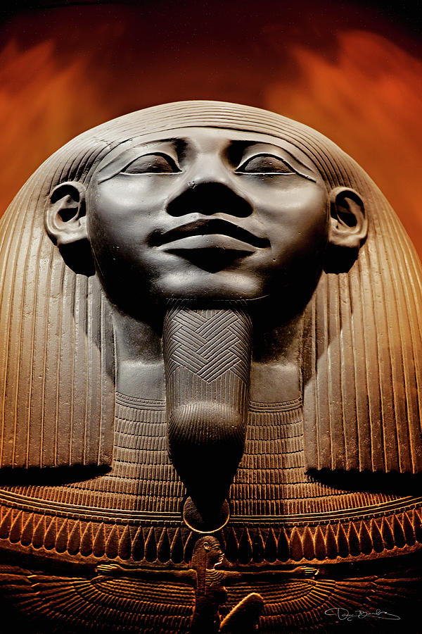 Egyptian Harkhebit Sarcophagus Head From Below Photograph by Dan Barba