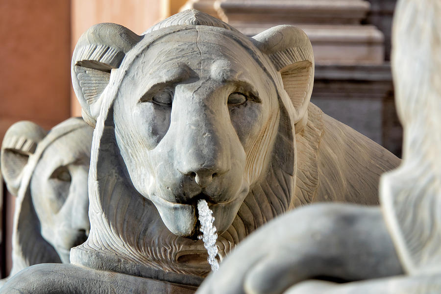 Statue of an egyptian lion in the Fontana dell Acqua Felice in Rome Italy Photograph by Fabrizio Troiani