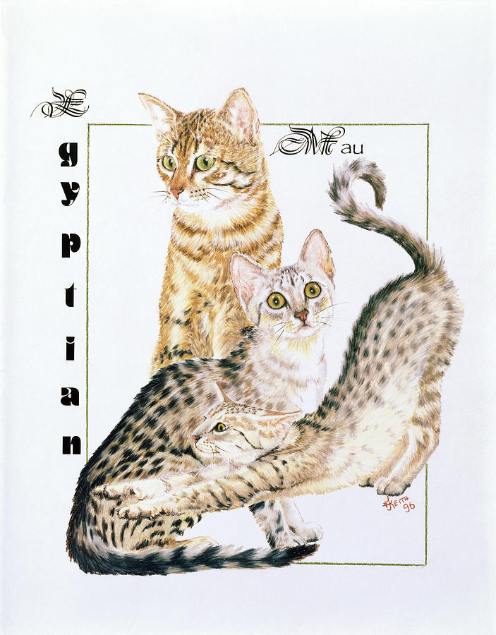 Cat Painting - Egyptian Mau by Barbara Keith
