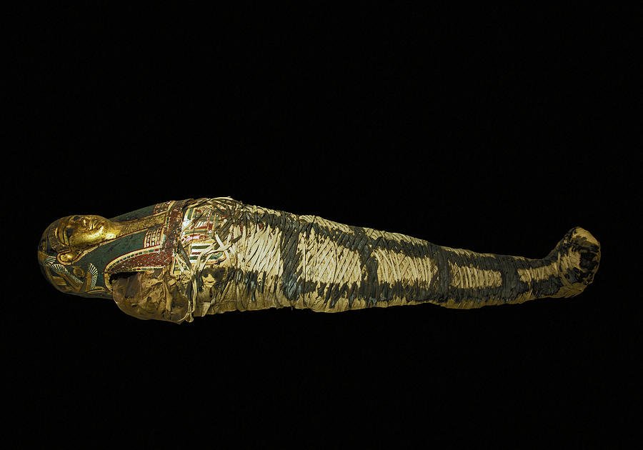 Egyptian Mummy Photograph by Millard H. Sharp
