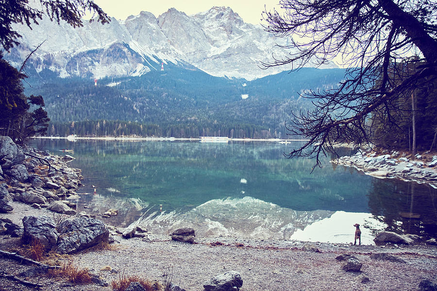 Eibsee Lake At Base Of Zugspitze, Garmisch-partenkirchen, Bavaria ...