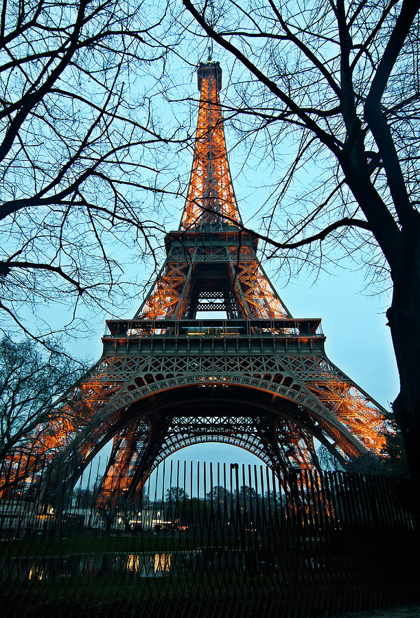 Eiffel Lights On Photograph
