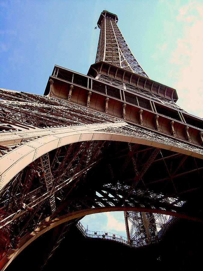 Eiffel Tower and Bird Photograph by Chance Kafka