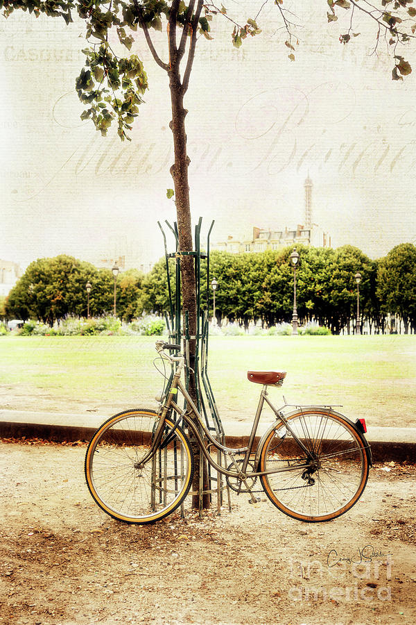 Eiffel Tower Bicycle Photograph by Craig J Satterlee