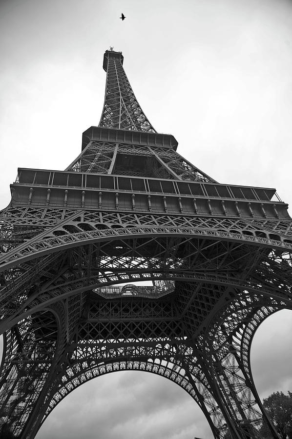 Eiffel Tower Photograph by Hilary Brodey