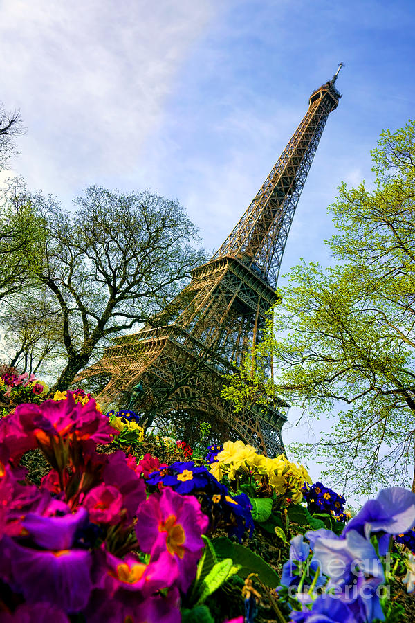 Eiffel Tower in Bloom Photograph by Olivier Le Queinec