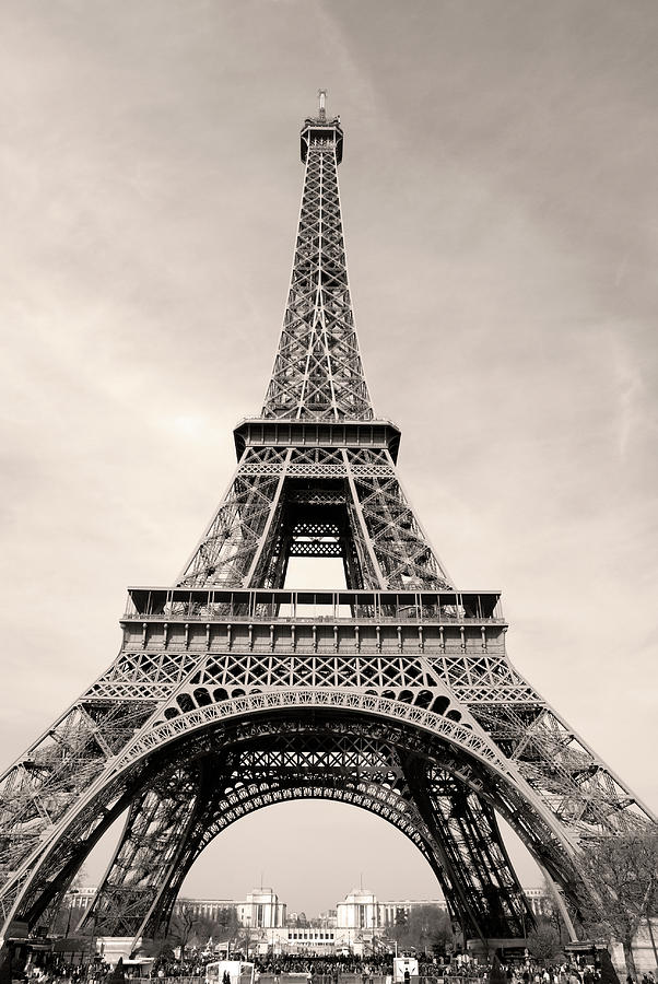 Eiffel Tower Photograph by Mmac72