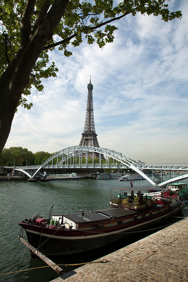 Eiffel Tower Viewed From Across The Photograph by Glen Perotte