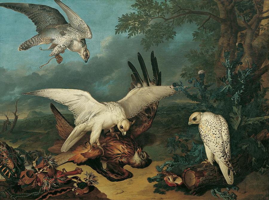 Bird Painting - Ein Roter Milan, Von Islandischen Falken Besiegt by Philipp Ferdinand De Hamilton