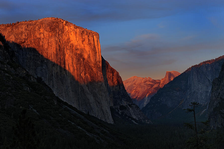 El Capitan At Sunset, Yosemite National Park, California Photograph by Jouan Rius / Naturepl.com El Capitan At Sunset, Yosemite National Park, California Photograph by Jouan Rius / Naturepl.com