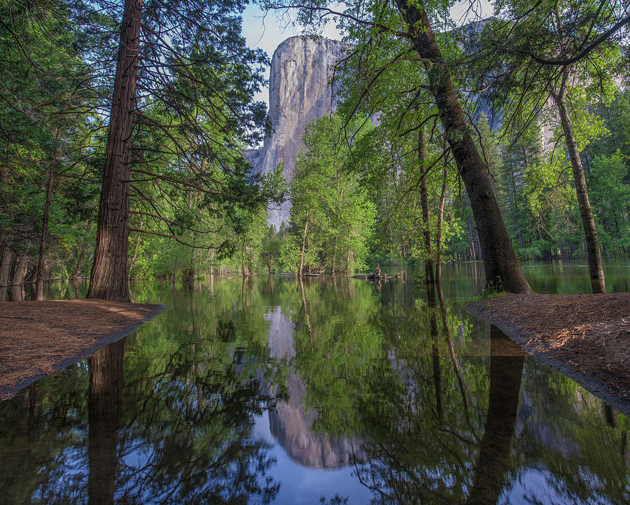 El Capitan From Merced River, Yosemite National Park, California Photograph by Tim Fitzharris