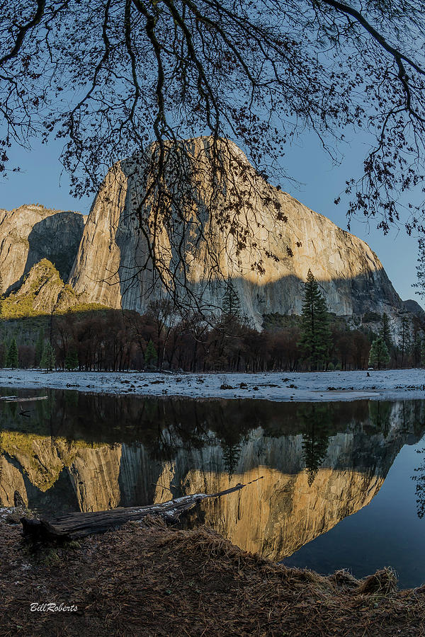 El Capitan In Early Light Photograph by Bill Roberts