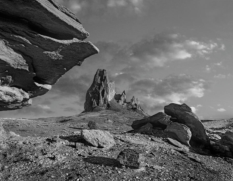 El Capitan, Monument Valley Photograph by Tim Fitzharris