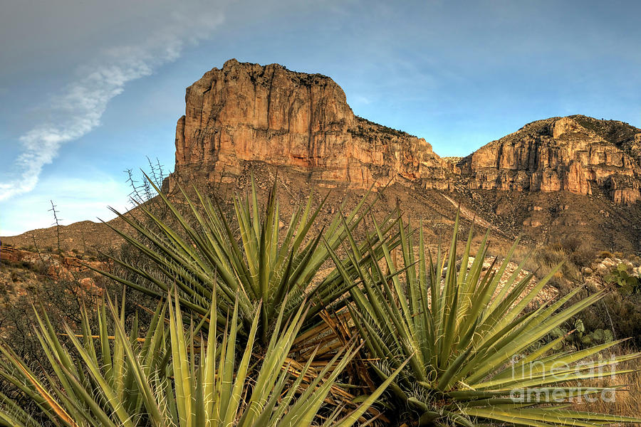 El Capitan Photograph - El Capitan of Texas by Joe Sparks El Capitan Photograph - El Capitan of Texas by Joe Sparks