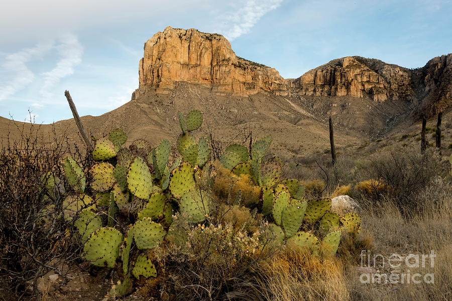 Texas Photograph - El Capitan with Cactus by Joe Sparks Texas Photograph - El Capitan with Cactus by Joe Sparks