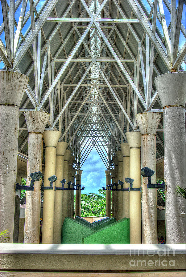 El Portal del Yunque Photograph by Edwin Rivera