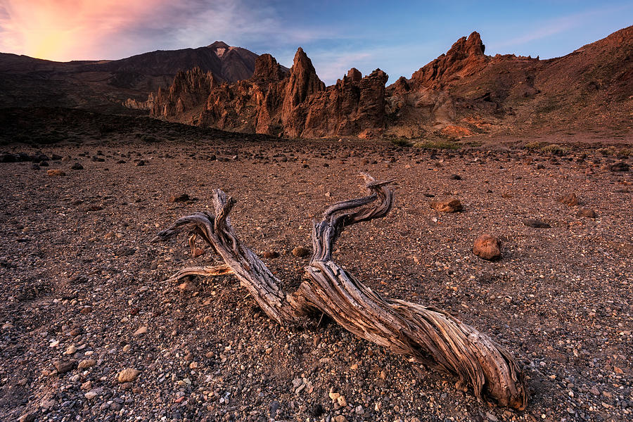 Canary Photograph - El Teide by Catalin Rasvan Ene