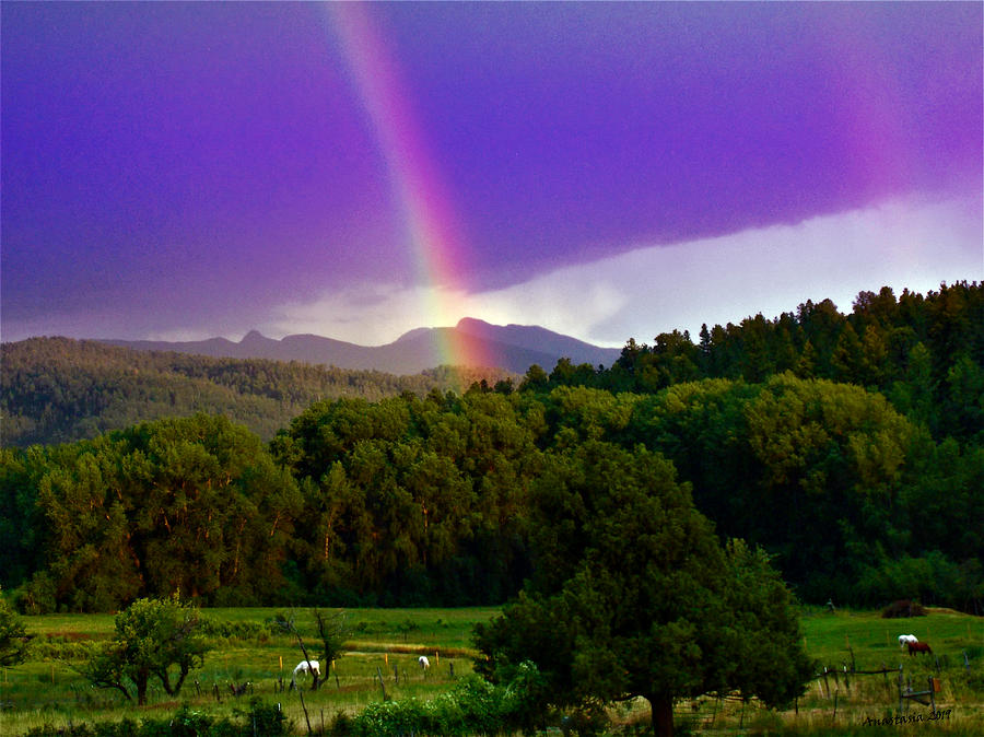 El Valle Rainbows Over Adams Horses Photograph by Anastasia Savage Ealy