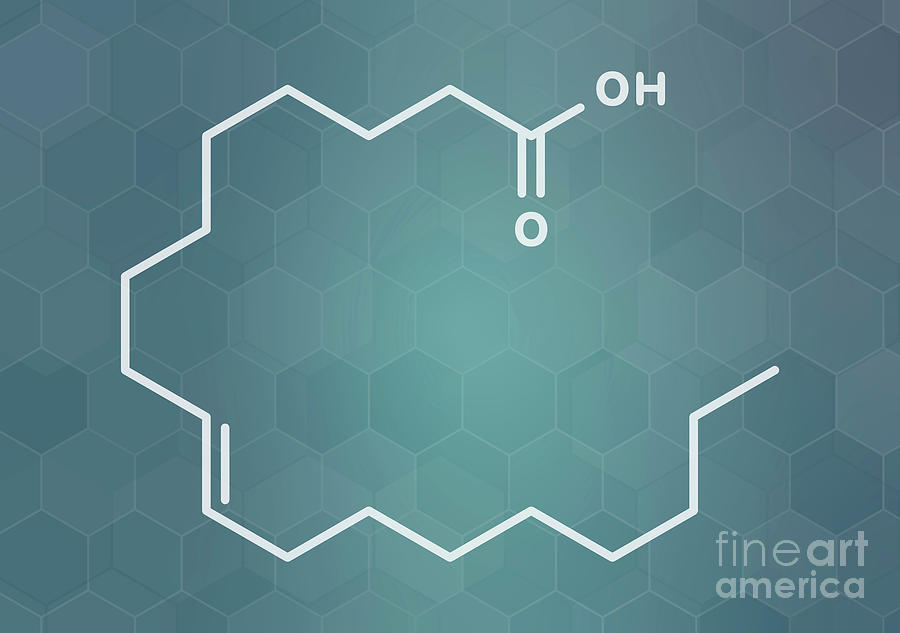 Elaidic Acid Molecule by Science Photo Library