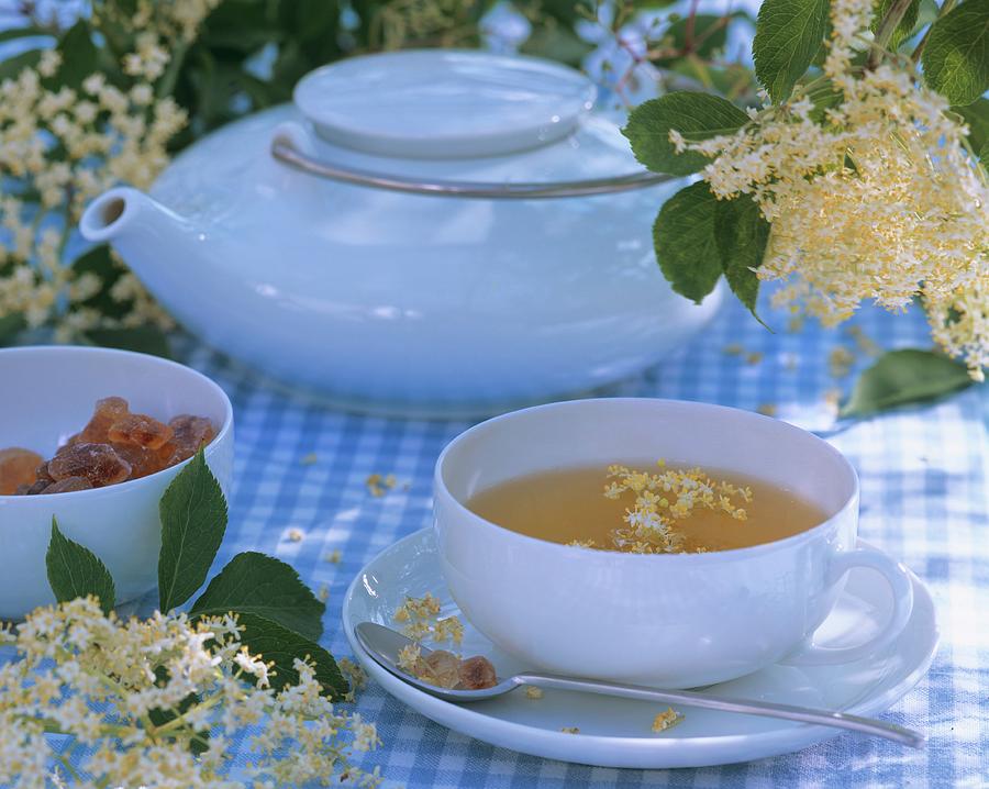 Elderflower Tea With Fresh Elderflowers Photograph by Strauss, Friedrich