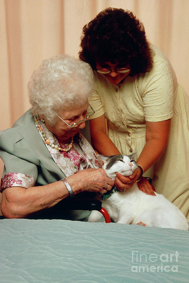 Elderly Woman Stroking Cat As Part Of Therapy Photograph By John Greim 