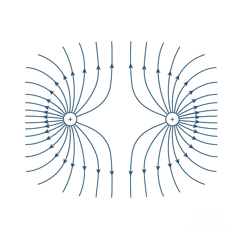 Electric Field Lines Photograph by Science Photo Library | Pixels