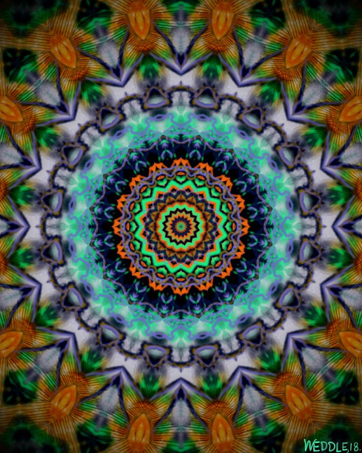 Electric Mandala  Digital Art by Angela Weddle