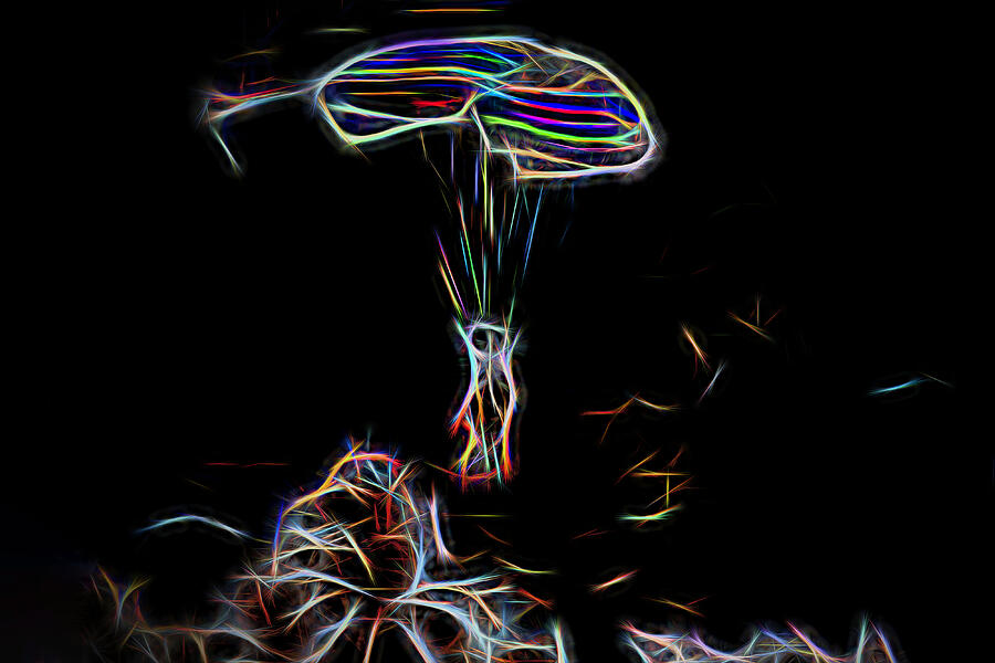 Electric Parachute by Kay Brewer Electric Parachute by Kay Brewer