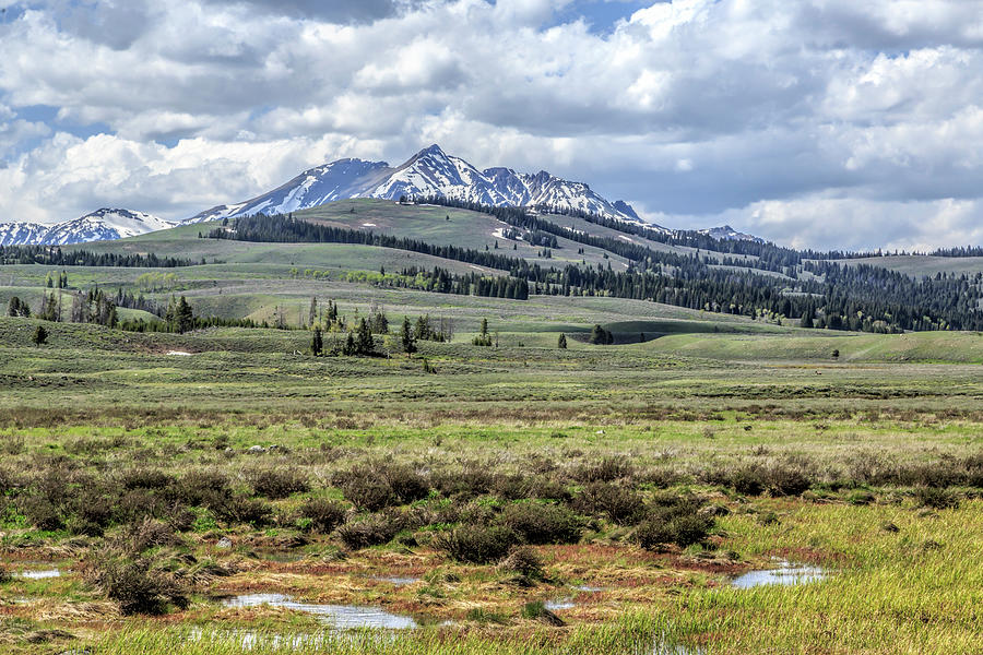 Electric Peak Photograph by Galloimages Online | Fine Art America