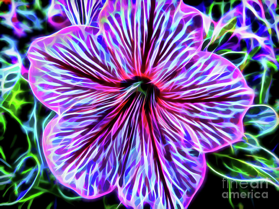 Electric Petunia Photograph by D Hackett