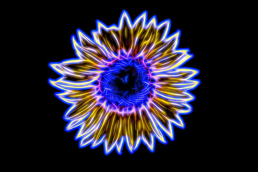 Electric Sunflower by Karen Silvestri Electric Sunflower by Karen Silvestri