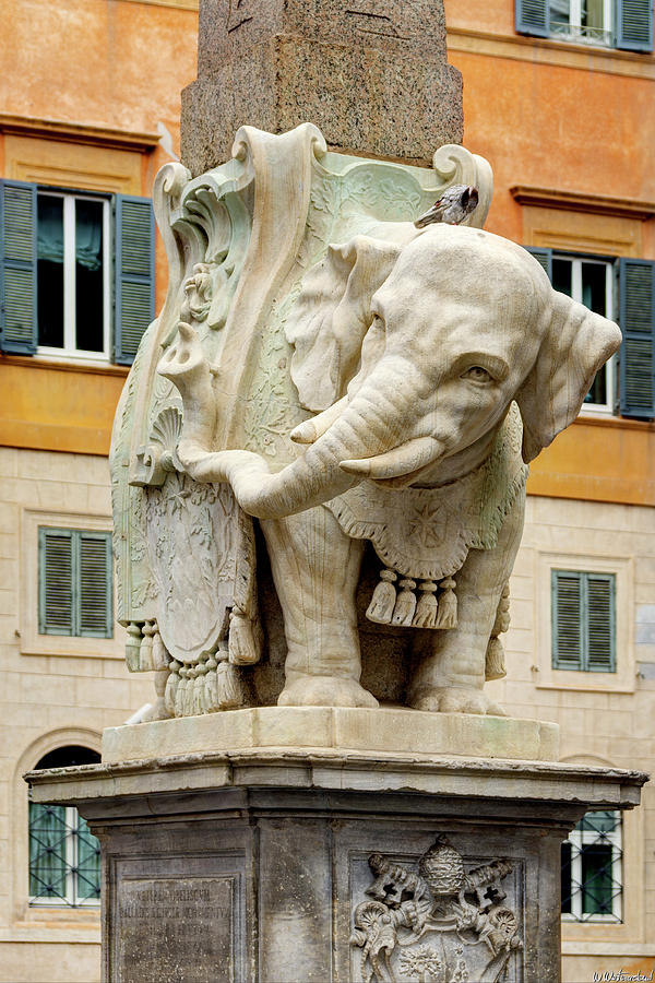Elefantino Bernini Photograph by Weston Westmoreland