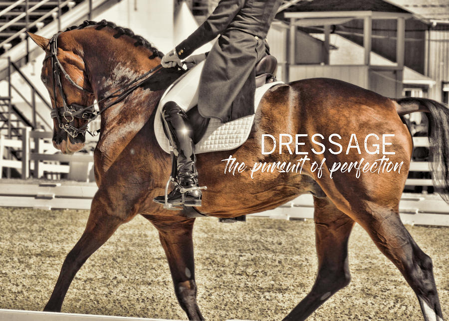 Horse Photograph - ELEGANCE quote by JAMART Photography