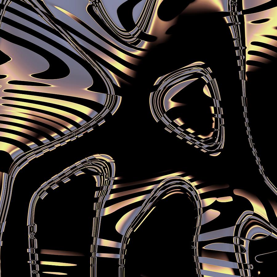 Elegant Black Fractal 2 Digital Art by Judi Suni Hall