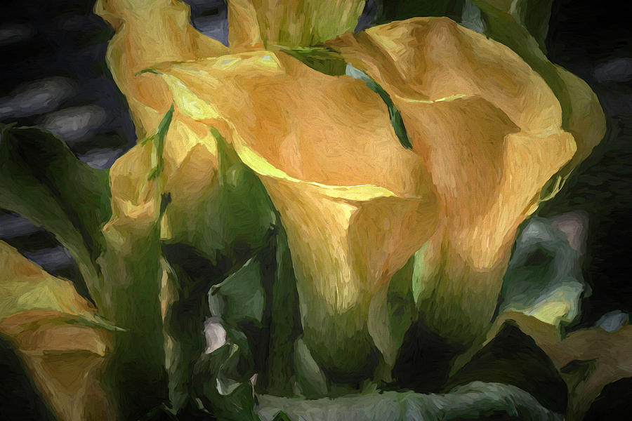 Elegant Calla Lilies by Donna Kennedy Elegant Calla Lilies by Donna Kennedy