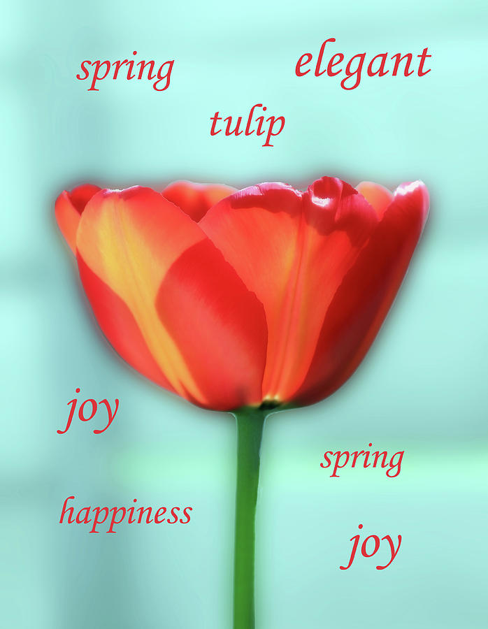 Elegant Red Joy In The Garden by Johanna Hurmerinta Elegant Red Joy In The Garden by Johanna Hurmerinta