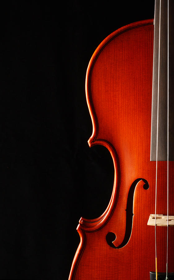 Elegant Violin Photograph by Biffspandex