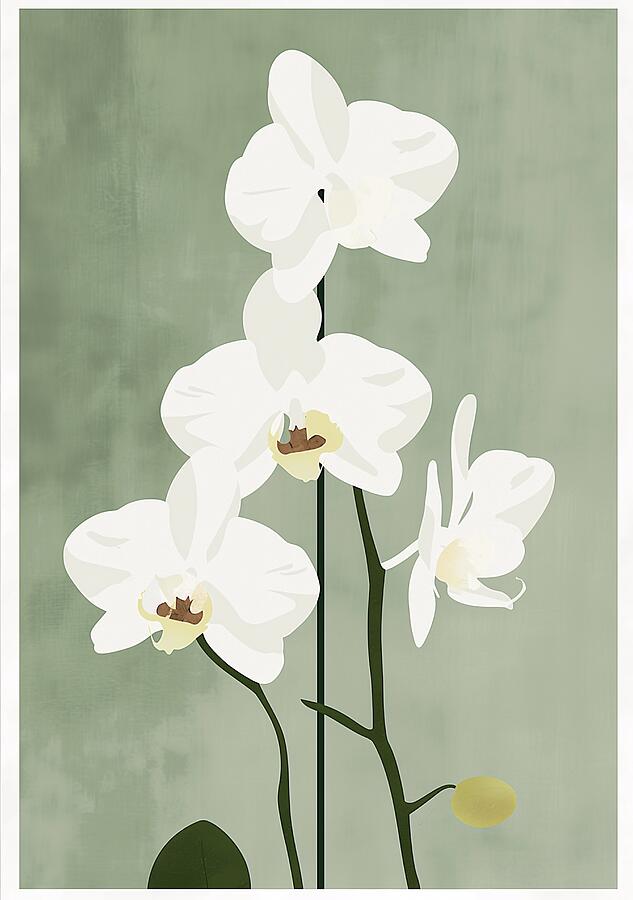 Elegant White Orchids Against Green Background Digital Art by Trendy Art Elegant White Orchids Against Green Background Digital Art by Trendy Art