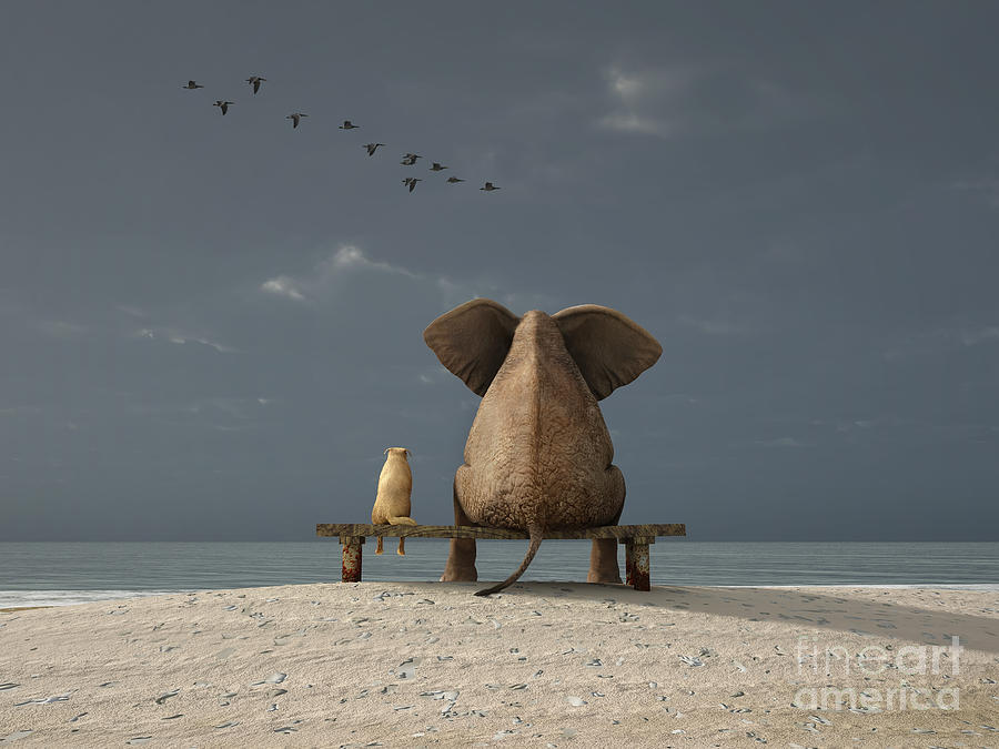 Love Digital Art - Elephant And Dog Sit On A Beach by Photobank Gallery Love Digital Art - Elephant And Dog Sit On A Beach by Photobank Gallery